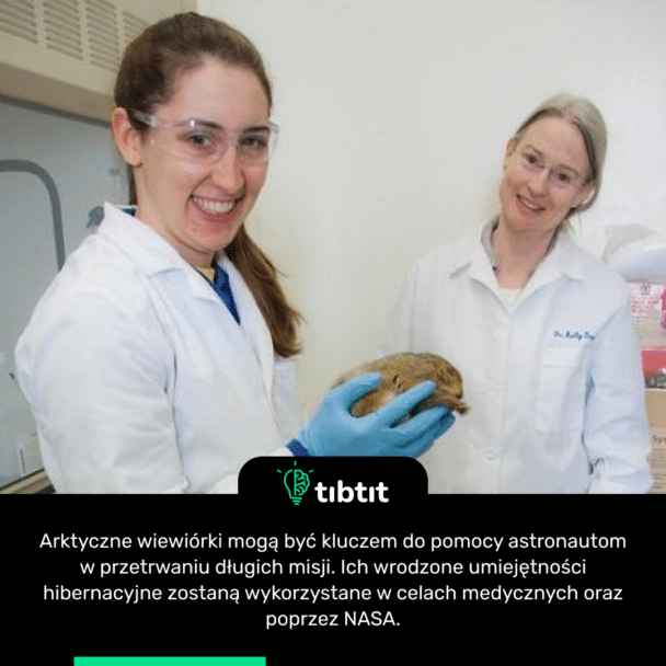 Arktyczne wiewiórki mogą być kluczem do pomocy astronautom w przetrwaniu długich misji. Ich wrodzone umiejętności hibernacyjne zostaną wykorzystane w celach medycznych oraz poprzez NASA.