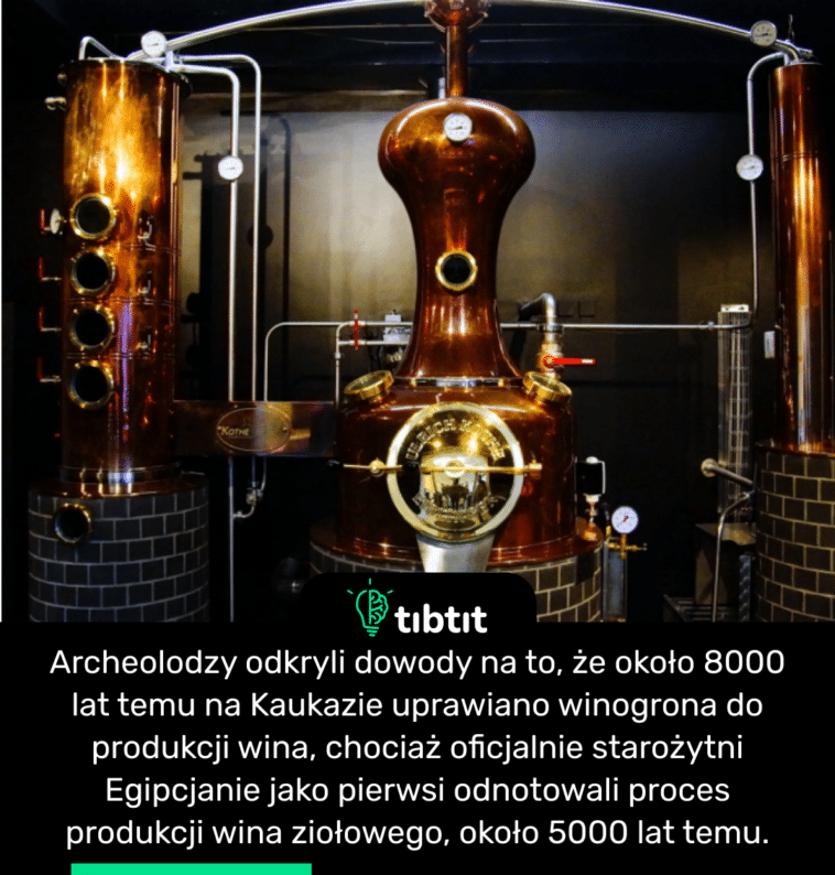 Archeolodzy odkryli dowody na to, że około 8000 lat temu na Kaukazie uprawiano winogrona do produkcji wina, chociaż oficjalnie starożytni Egipcjanie jako pierwsi odnotowali proces produkcji wina ziołowego, około 5000 lat temu.