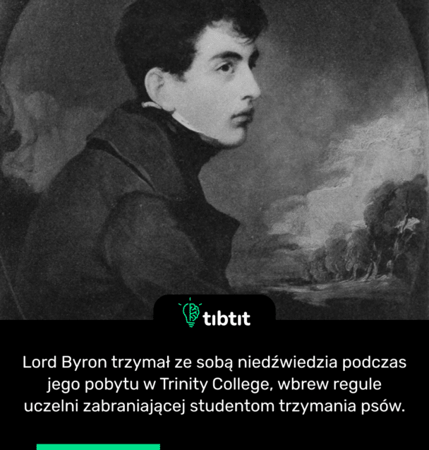 Lord Byron trzymał ze sobą niedźwiedzia podczas jego pobytu w Trinity College, wbrew regule uczelni zabraniającej studentom trzymania psów.