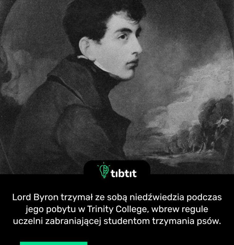 Lord Byron trzymał ze sobą niedźwiedzia podczas jego pobytu w Trinity College, wbrew regule uczelni zabraniającej studentom trzymania psów.