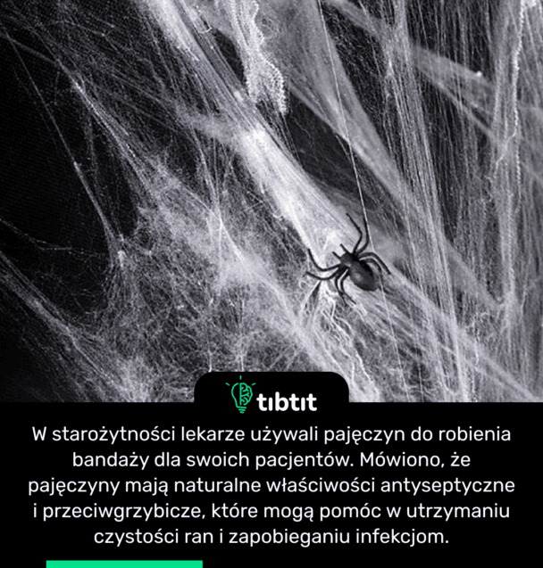 W starożytności lekarze używali pajęczyn do robienia bandaży dla swoich pacjentów. Mówiono, że pajęczyny mają naturalne właściwości antyseptyczne i przeciwgrzybicze, które mogą pomóc w utrzymaniu czystości ran i zapobieganiu infekcjom.