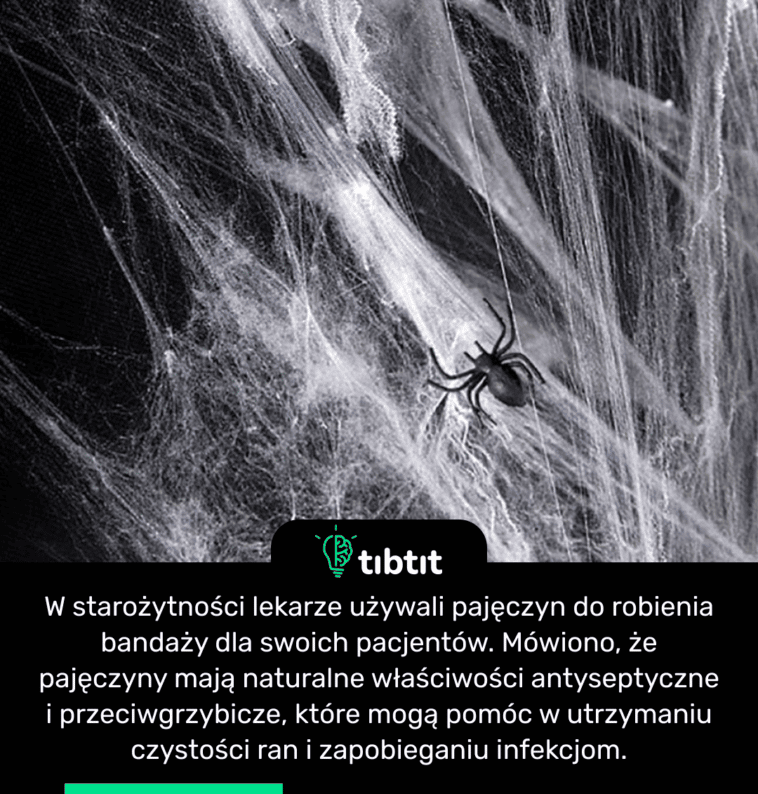 W starożytności lekarze używali pajęczyn do robienia bandaży dla swoich pacjentów. Mówiono, że pajęczyny mają naturalne właściwości antyseptyczne i przeciwgrzybicze, które mogą pomóc w utrzymaniu czystości ran i zapobieganiu infekcjom.