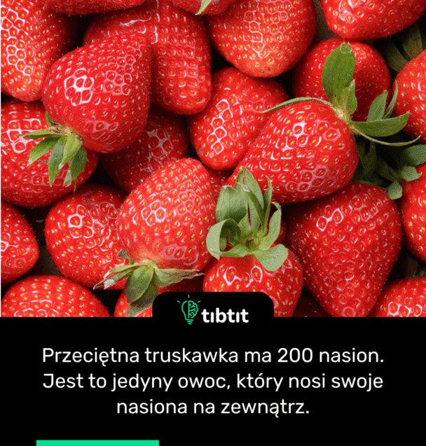 Przeciętna truskawka ma 200 nasion. Jest to jedyny owoc, który nosi swoje nasiona na zewnątrz.