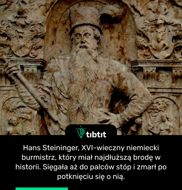 Hans Steininger, XVI-wieczny niemiecki burmistrz, który miał najdłuższą brodę w historii. Sięgała aż do palców stóp i zmarł po potknięciu się o nią.