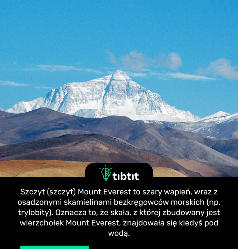 Szczyt (szczyt) Mount Everest to szary wapień, wraz z osadzonymi skamielinami bezkręgowców morskich (np. trylobity). Oznacza to, że skała, z której zbudowany jest wierzchołek Mount Everest, znajdowała się kiedyś pod wodą.