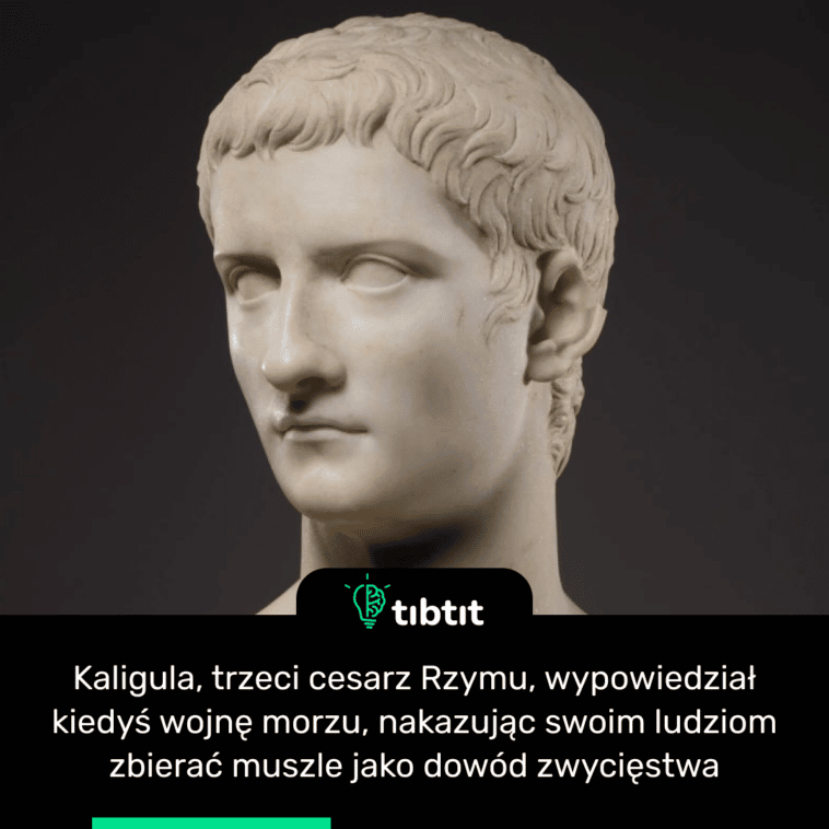 Kaligula, trzeci cesarz Rzymu, wypowiedział kiedyś wojnę morzu, nakazując swoim ludziom zbierać muszle jako dowód zwycięstwa