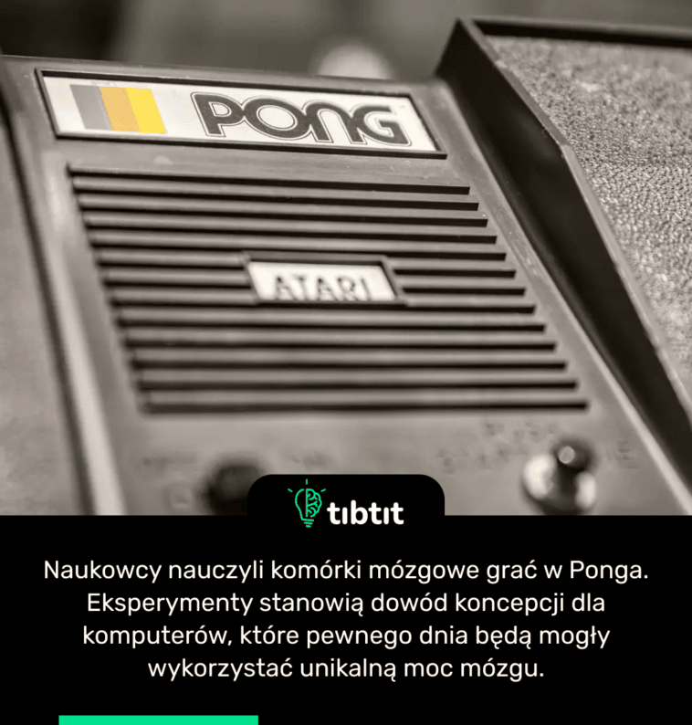 Naukowcy nauczyli komórki mózgowe grać w Ponga. Eksperymenty stanowią dowód koncepcji dla komputerów, które pewnego dnia będą mogły wykorzystać unikalną moc mózgu.