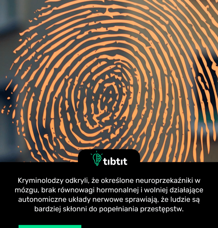 Kryminolodzy odkryli, że określone neuroprzekaźniki w mózgu, brak równowagi hormonalnej i wolniej działające autonomiczne układy nerwowe sprawiają, że ludzie są bardziej skłonni do popełniania przestępstw.