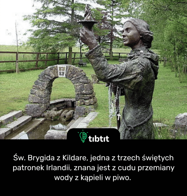 Św. Brygida z Kildare, jedna z trzech świętych patronek Irlandii, znana jest z cudu przemiany wody z kąpieli w piwo.
