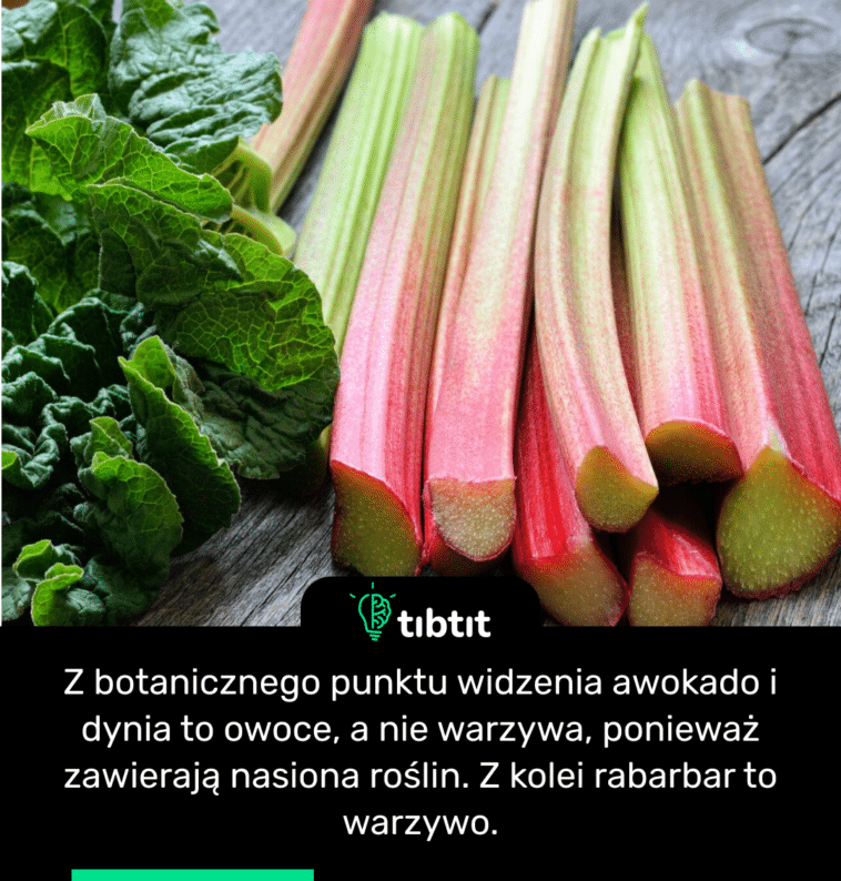 Z botanicznego punktu widzenia awokado i dynia to owoce, a nie warzywa, ponieważ zawierają nasiona roślin. Z kolei rabarbar to warzywo.