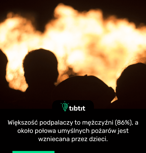 Większość podpalaczy to mężczyźni (86%), a około połowa umyślnych pożarów jest wzniecana przez dzieci.