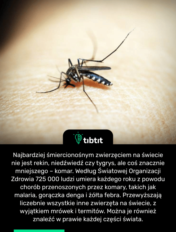 Najbardziej śmiercionośnym zwierzęciem na świecie nie jest rekin, niedźwiedź czy tygrys, ale coś znacznie mniejszego – komar. Według Światowej Organizacji Zdrowia 725 000 ludzi umiera każdego roku z powodu chorób przenoszonych przez komary, takich jak malaria, gorączka denga i żółta febra. Przewyższają liczebnie wszystkie inne zwierzęta na świecie, z wyjątkiem mrówek i termitów. Można je również znaleźć w prawie każdej części świata.