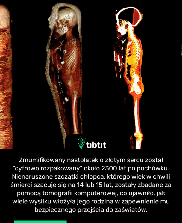 Zmumifikowany nastolatek o złotym sercu został "cyfrowo rozpakowany" około 2300 lat po pochówku. Nienaruszone szczątki chłopca, którego wiek w chwili śmierci szacuje się na 14 lub 15 lat, zostały zbadane za pomocą tomografii komputerowej, co ujawniło, jak wiele wysiłku włożyła jego rodzina w zapewnienie mu bezpiecznego przejścia do zaświatów.