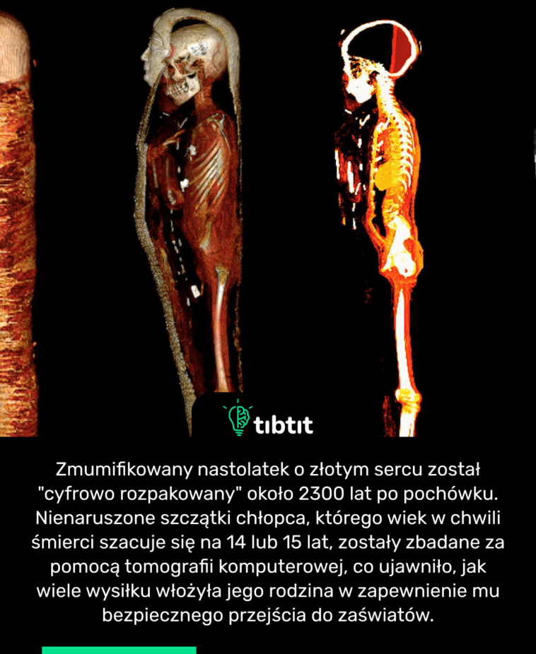 Zmumifikowany nastolatek o złotym sercu został "cyfrowo rozpakowany" około 2300 lat po pochówku. Nienaruszone szczątki chłopca, którego wiek w chwili śmierci szacuje się na 14 lub 15 lat, zostały zbadane za pomocą tomografii komputerowej, co ujawniło, jak wiele wysiłku włożyła jego rodzina w zapewnienie mu bezpiecznego przejścia do zaświatów.