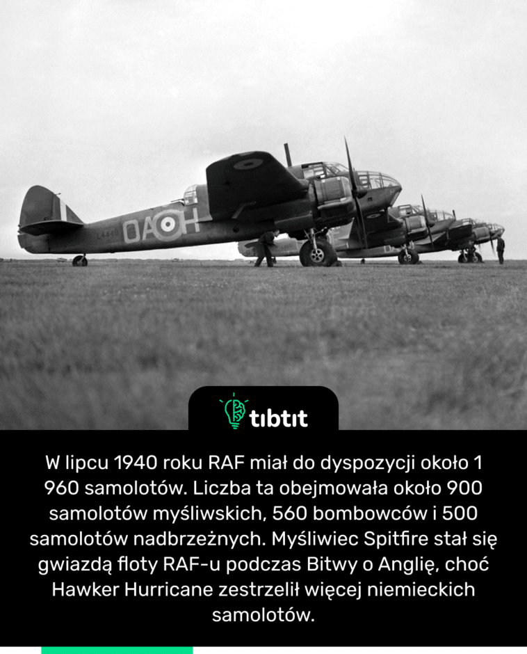 W lipcu 1940 roku RAF miał do dyspozycji około 1 960 samolotów. Liczba ta obejmowała około 900 samolotów myśliwskich, 560 bombowców i 500 samolotów nadbrzeżnych. Myśliwiec Spitfire stał się gwiazdą floty RAF-u podczas Bitwy o Anglię, choć Hawker Hurricane zestrzelił więcej niemieckich samolotów.