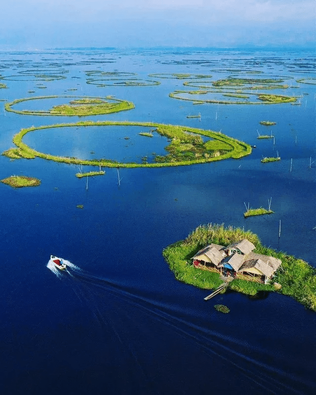 Park Narodowy Lamjao w Manipur w Indiach