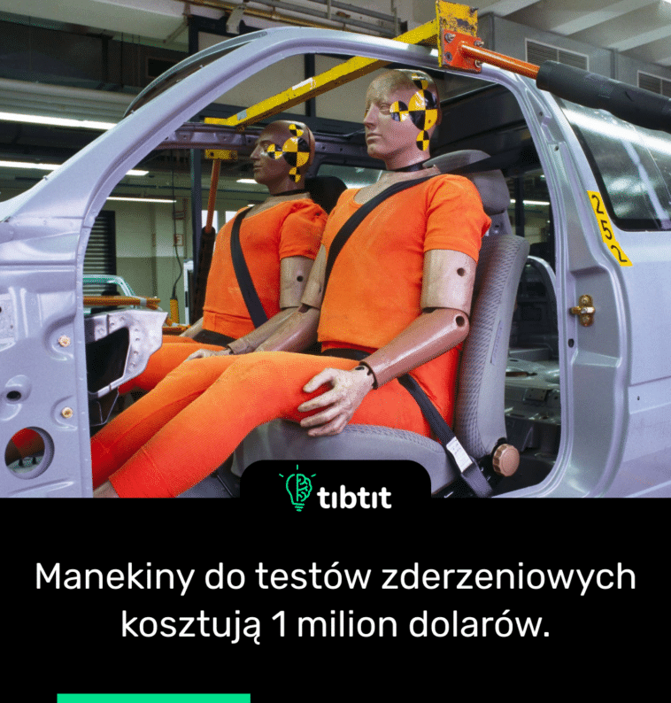Manekiny do testów zderzeniowych kosztują 1 milion dolarów.