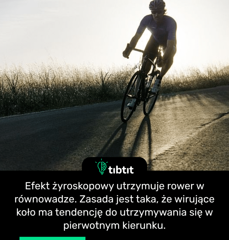 Efekt żyroskopowy utrzymuje rower w równowadze. Zasada jest taka, że wirujące koło ma tendencję do utrzymywania się w pierwotnym kierunku.