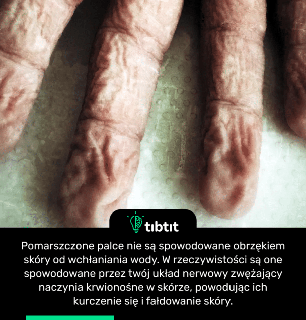 Pomarszczone palce nie są spowodowane obrzękiem skóry od wchłaniania wody. W rzeczywistości są one spowodowane przez twój układ nerwowy zwężający naczynia krwionośne w skórze, powodując ich kurczenie się i fałdowanie skóry.