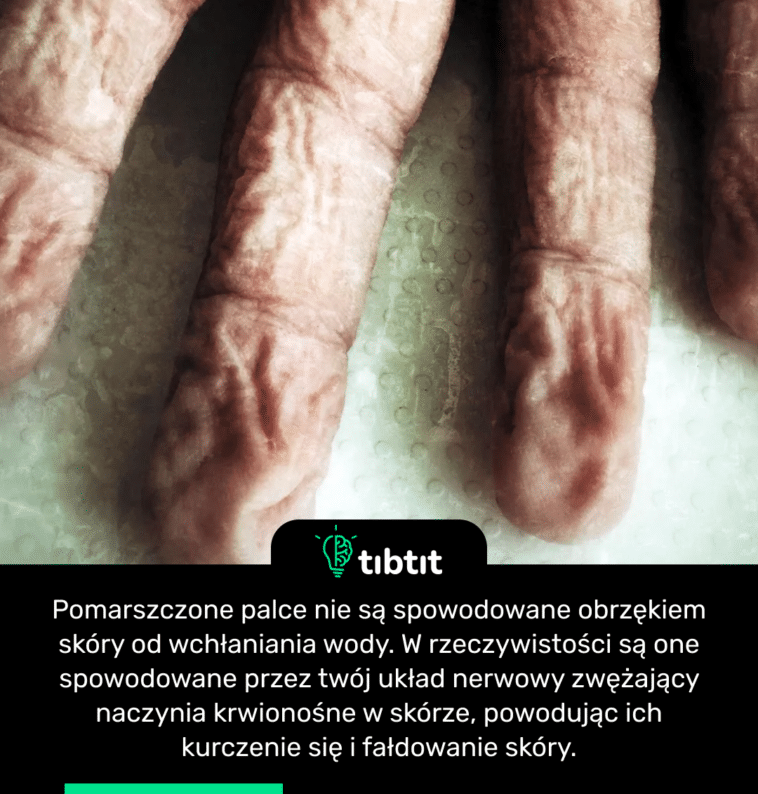 Pomarszczone palce nie są spowodowane obrzękiem skóry od wchłaniania wody. W rzeczywistości są one spowodowane przez twój układ nerwowy zwężający naczynia krwionośne w skórze, powodując ich kurczenie się i fałdowanie skóry.