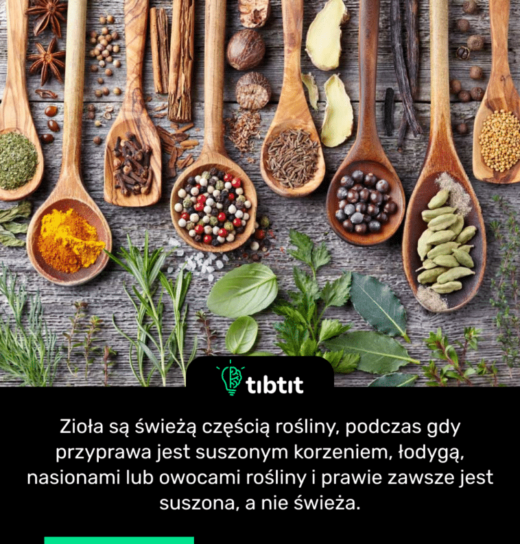 Zioła są świeżą częścią rośliny, podczas gdy przyprawa jest suszonym korzeniem, łodygą, nasionami lub owocami rośliny i prawie zawsze jest suszona, a nie świeża.