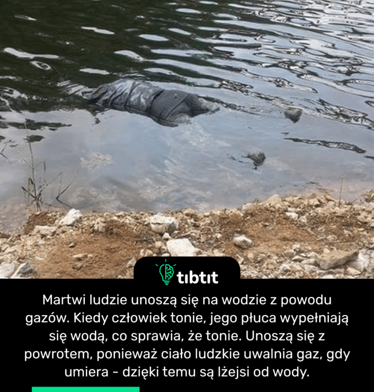 Martwi ludzie unoszą się na wodzie z powodu gazów. Kiedy człowiek tonie, jego płuca wypełniają się wodą, co sprawia, że tonie. Unoszą się z powrotem, ponieważ ciało ludzkie uwalnia gaz, gdy umiera - dzięki temu są lżejsi od wody.