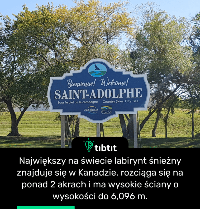 Największy na świecie labirynt śnieżny znajduje się w Kanadzie, rozciąga się na ponad 2 akrach i ma wysokie ściany o wysokości do 6,096 m.
