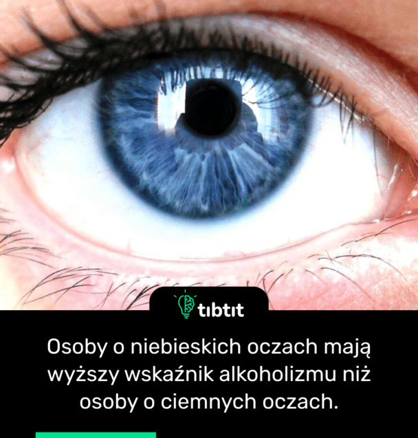 Osoby o niebieskich oczach mają wyższy wskaźnik alkoholizmu niż osoby o ciemnych oczach.