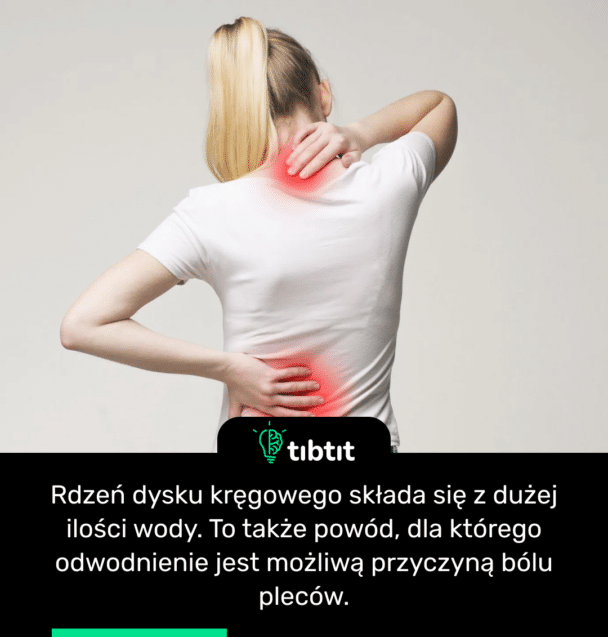Rdzeń dysku kręgowego składa się z dużej ilości wody. To także powód, dla którego odwodnienie jest możliwą przyczyną bólu pleców.