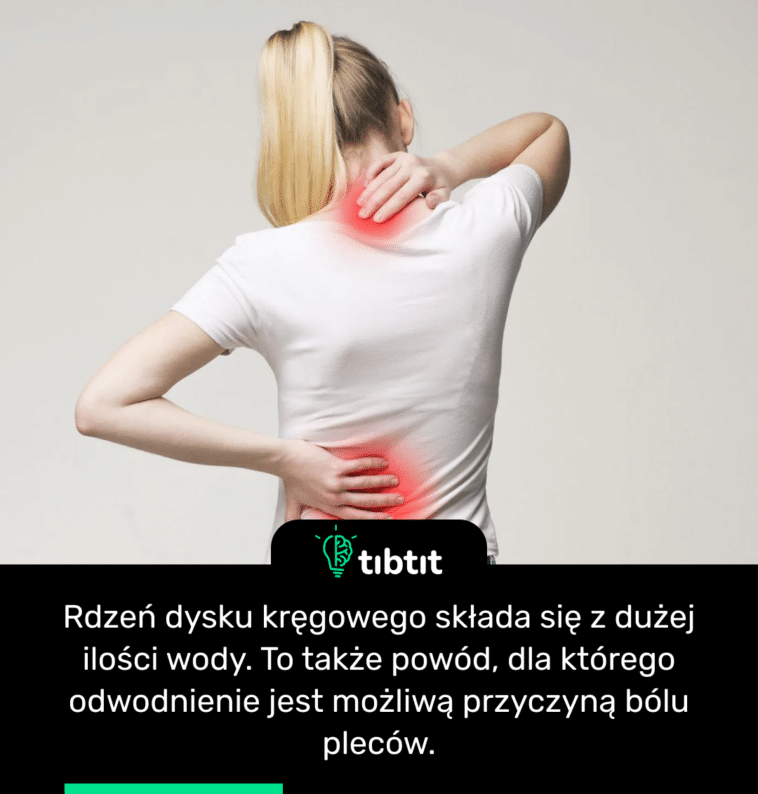 Rdzeń dysku kręgowego składa się z dużej ilości wody. To także powód, dla którego odwodnienie jest możliwą przyczyną bólu pleców.