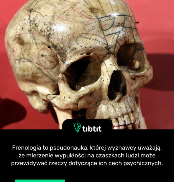 Frenologia to pseudonauka, której wyznawcy uważają, że mierzenie wypukłości na czaszkach ludzi może przewidywać rzeczy dotyczące ich cech psychicznych.