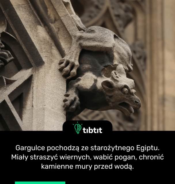Gargulce pochodzą ze starożytnego Egiptu. Miały straszyć wiernych, wabić pogan, chronić kamienne mury przed wodą.