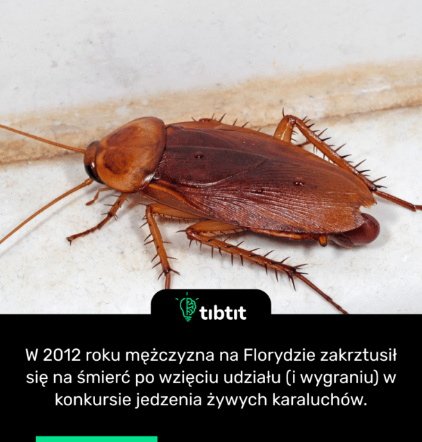 W 2012 roku mężczyzna na Florydzie zakrztusił się na śmierć po wzięciu udziału (i wygraniu) w konkursie jedzenia żywych karaluchów.