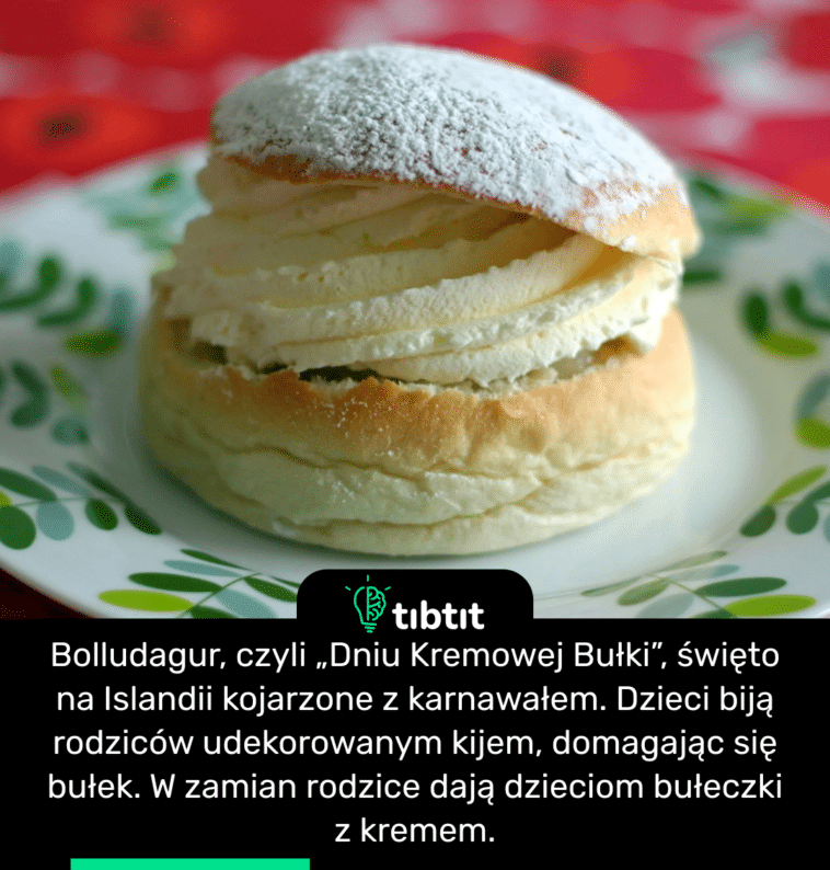 Bolludagur, czyli „Dniu Kremowej Bułki”, święto na Islandii kojarzone z karnawałem. Dzieci biją rodziców udekorowanym kijem, domagając się bułek. W zamian rodzice dają dzieciom bułeczki z kremem.