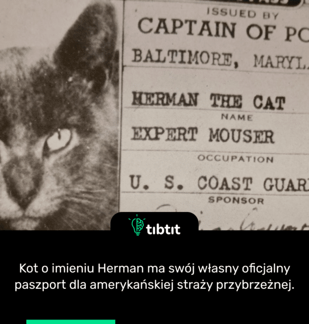 Kot o imieniu Herman ma swój własny oficjalny paszport dla amerykańskiej straży przybrzeżnej.