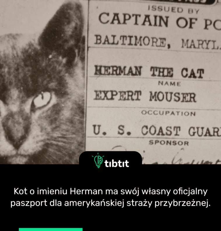 Kot o imieniu Herman ma swój własny oficjalny paszport dla amerykańskiej straży przybrzeżnej.