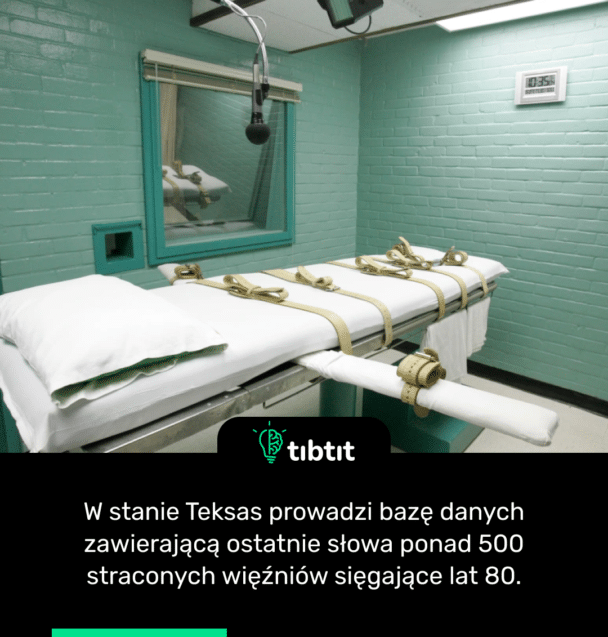 W stanie Teksas prowadzi bazę danych zawierającą ostatnie słowa ponad 500 straconych więźniów sięgające lat 80.