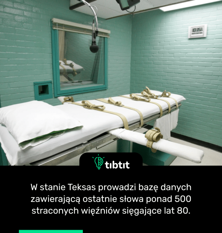 W stanie Teksas prowadzi bazę danych zawierającą ostatnie słowa ponad 500 straconych więźniów sięgające lat 80.