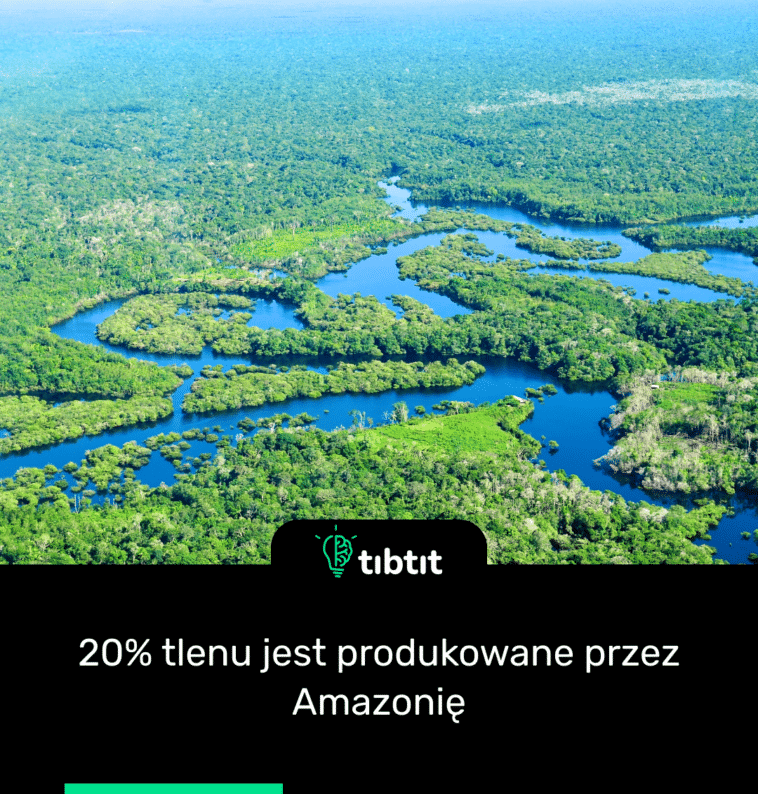 20% tlenu jest produkowane przez Amazonię