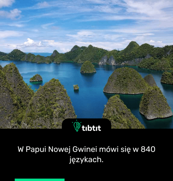 W Papui Nowej Gwinei mówi się w 840 językach.