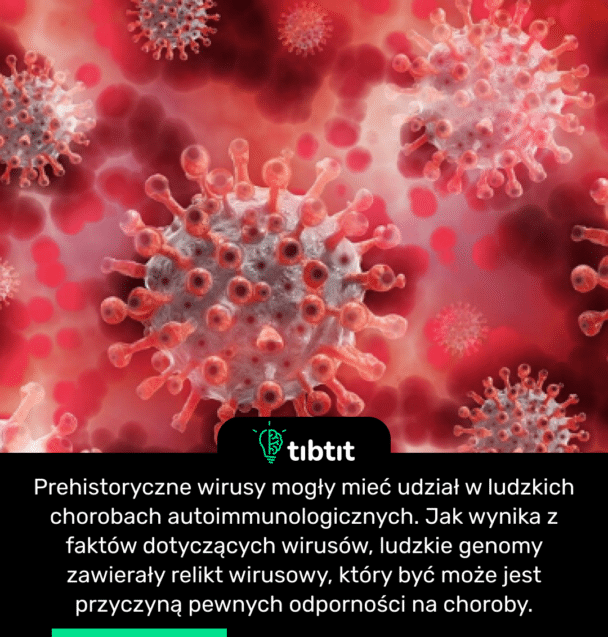 Prehistoryczne wirusy mogły mieć udział w ludzkich chorobach autoimmunologicznych. Jak wynika z faktów dotyczących wirusów, ludzkie genomy zawierały relikt wirusowy, który być może jest przyczyną pewnych odporności na choroby.