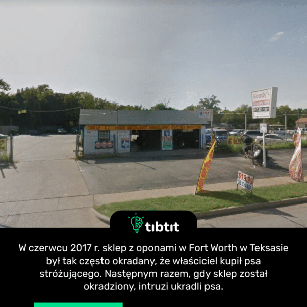 W czerwcu 2017 r. sklep z oponami w Fort Worth w Teksasie był tak często okradany, że właściciel kupił psa stróżującego. Następnym razem, gdy sklep został okradziony, intruzi ukradli psa.