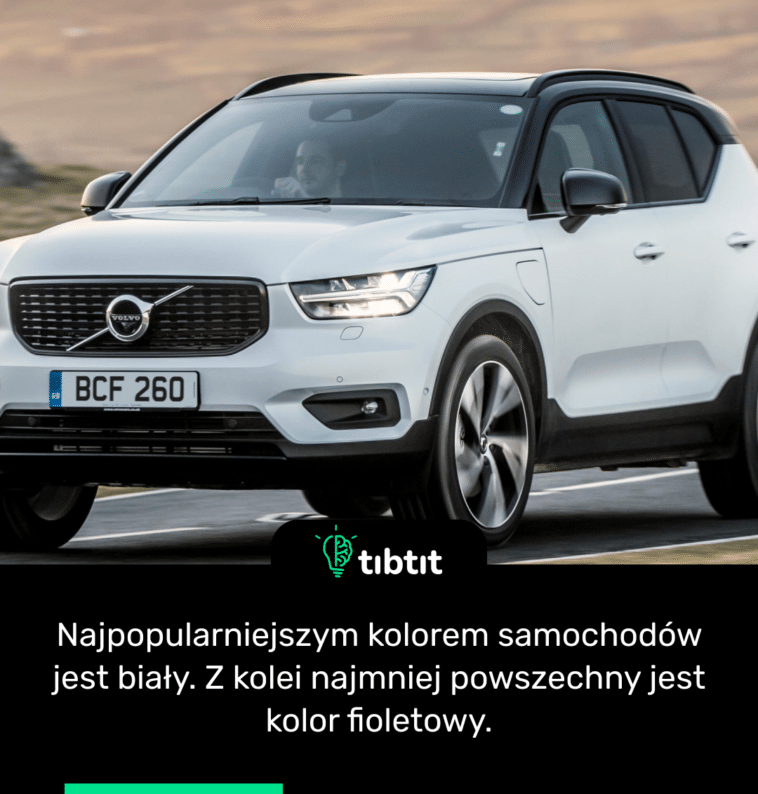 Najpopularniejszym kolorem samochodów jest biały. Z kolei najmniej powszechny jest kolor fioletowy.