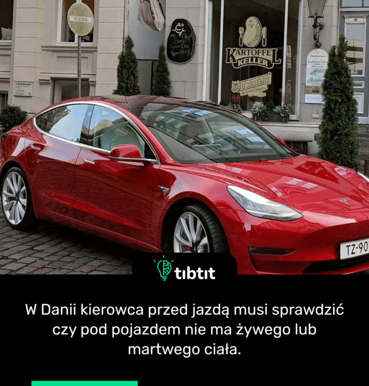 W Danii kierowca przed jazdą musi sprawdzić czy pod pojazdem nie ma żywego lub martwego ciała.