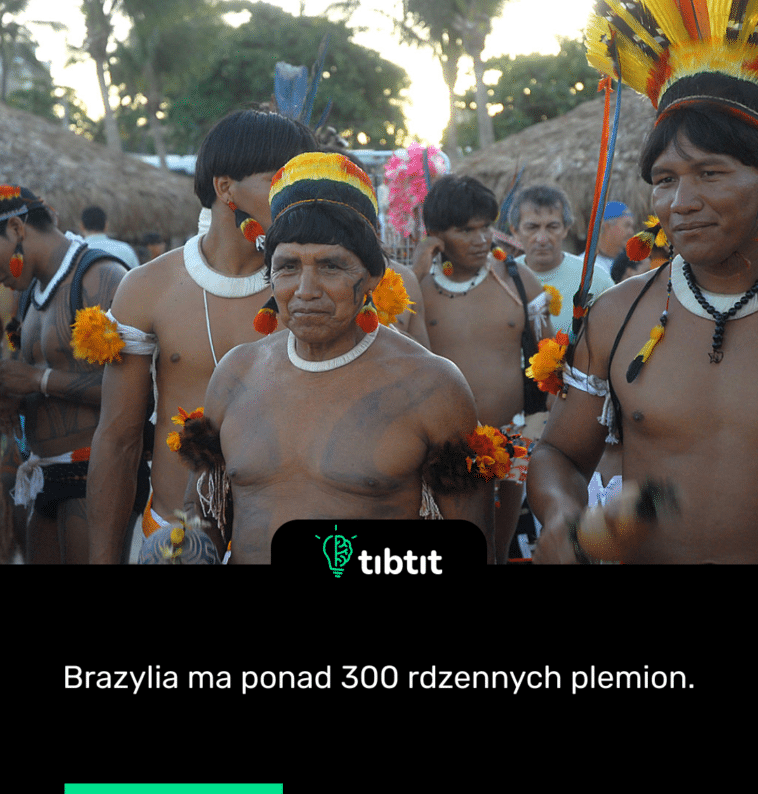 Brazylia ma ponad 300 rdzennych plemion.