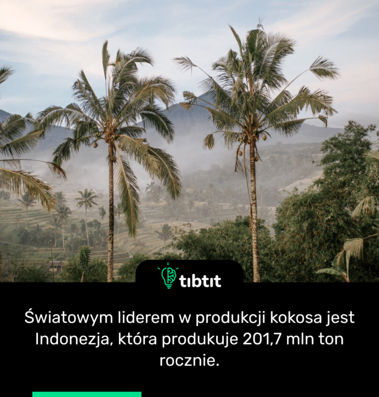 Światowym liderem w produkcji kokosa jest Indonezja, która produkuje 201,7 mln ton rocznie.