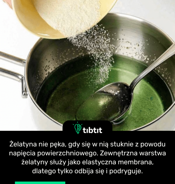 Żelatyna nie pęka, gdy się w nią stuknie z powodu napięcia powierzchniowego. Zewnętrzna warstwa żelatyny służy jako elastyczna membrana, dlatego tylko odbija się i podryguje.