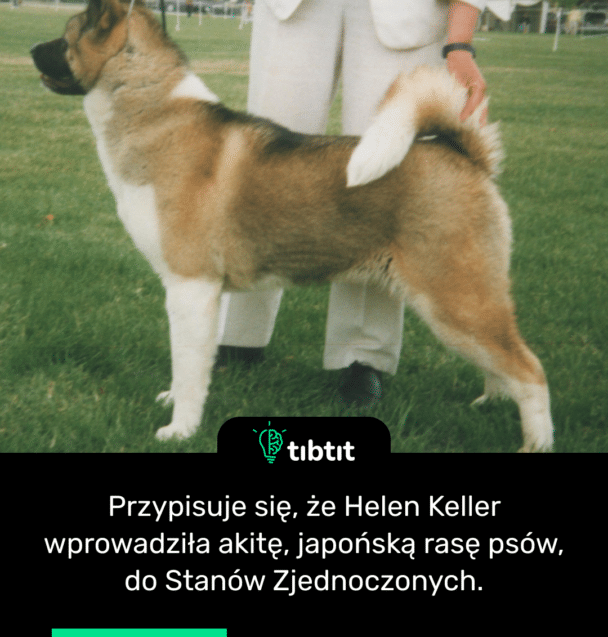 Przypisuje się, że Helen Keller wprowadziła akitę, japońską rasę psów, do Stanów Zjednoczonych.