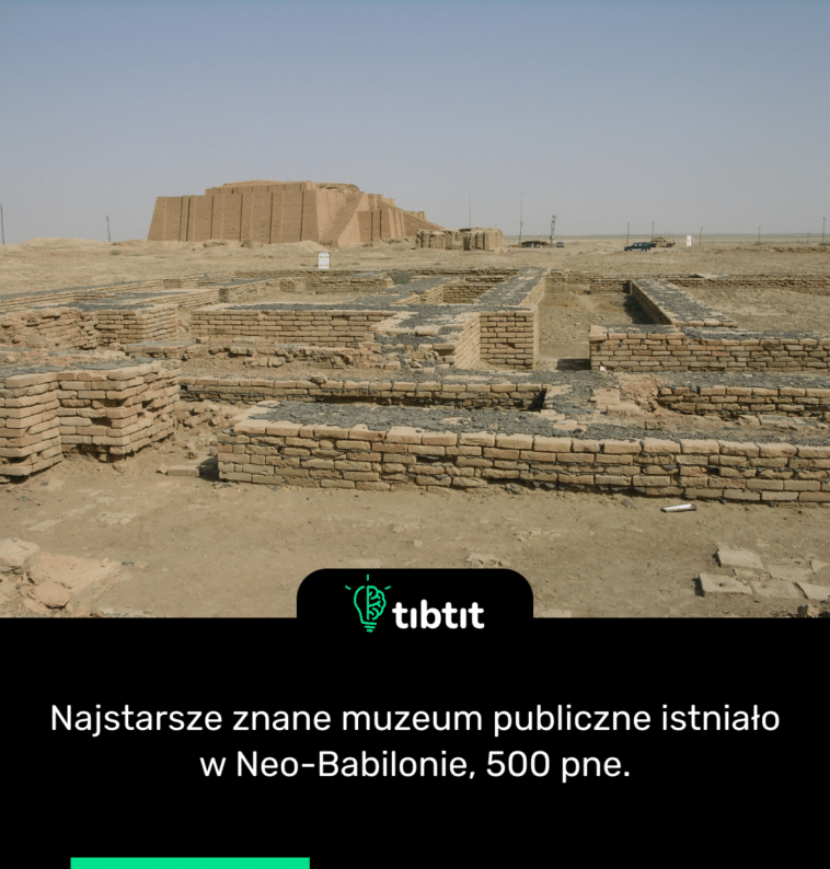 Najstarsze znane muzeum publiczne istniało w Neo-Babilonie, 500 pne.