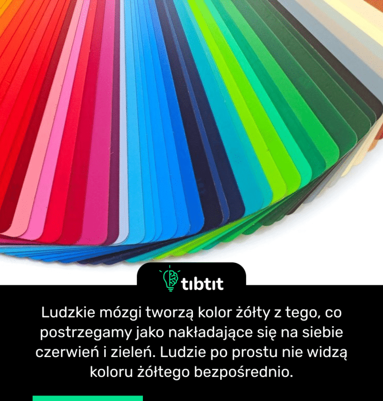 Ludzkie mózgi tworzą kolor żółty z tego, co postrzegamy jako nakładające się na siebie czerwień i zieleń. Ludzie po prostu nie widzą koloru żółtego bezpośrednio.